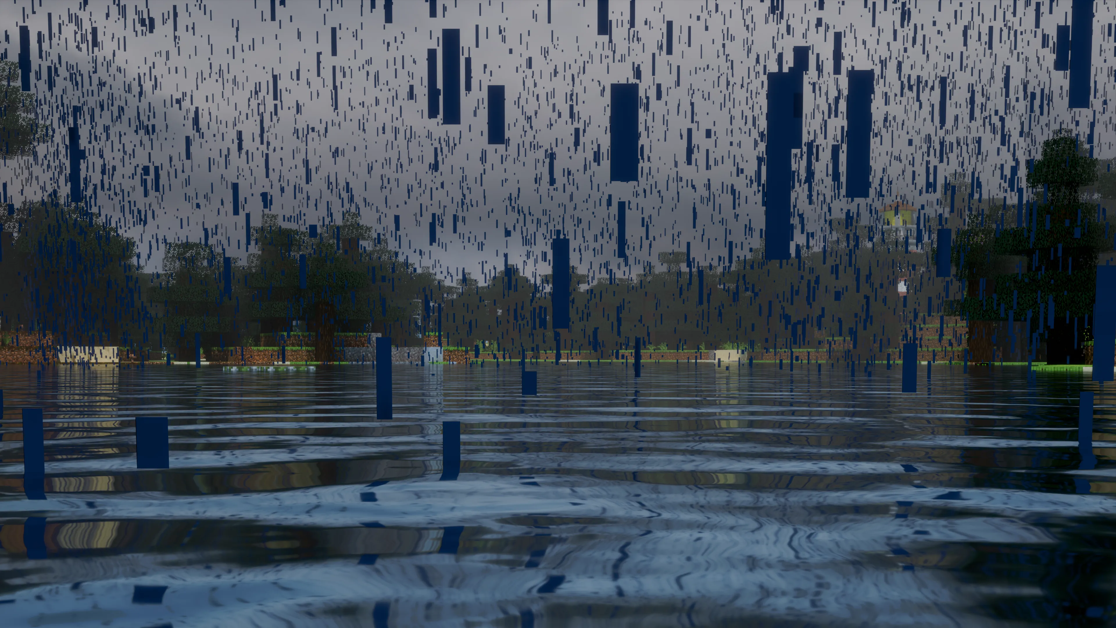 Rainy Shot